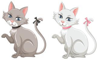 Gatos com pêlo cinzento e branco vetor