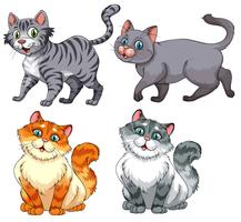 Conjunto de diferentes caracteres de gato