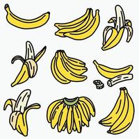 doodle desenho de esboço à mão livre de banana. vetor