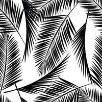 Sem costura padrão exótico com folhas de palmeira. vetor