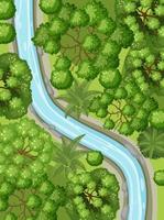 vista aérea com rio através da paisagem da floresta vetor