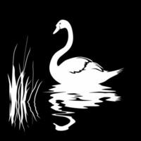 Preto e branco ilustração Projeto do cisnes em água vetor