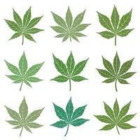 simplicidade folha de cannabis desenho à mão livre coleção de design plano. vetor