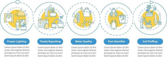 infográfico modelo de vetor de flores para cuidar