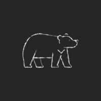 ícone de giz branco de urso formosan em fundo escuro. vetor