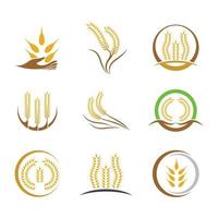 imagens do logotipo da wheat vetor