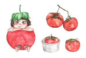 conjunto aquarela de um vegetal tomate. vetor