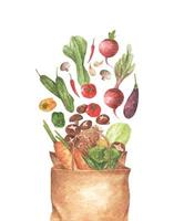 saco de papel cheio de vegetais diferentes. ilustração em aquarela. vetor