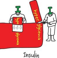metáfora principal função da insulina vetor