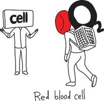 função de metáfora do glóbulo vermelho para transportar oxigênio vetor