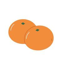 tangerinas, citrino vetor ilustração em branco isolado fundo.