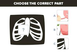 Educação jogos para crianças escolher a corrigir parte para completo uma fofa desenho animado costela x raio cenário imprimível anatomia e órgão planilha vetor