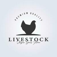 símbolo do galinha Fazenda gado logotipo vetor ilustração Projeto