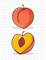 ilustração de frutas de pêssego vetor