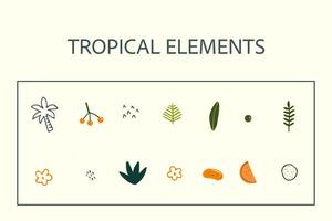 rabisco tropical elementos mão desenhado vetor