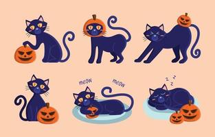 personagem de halloween gato preto vetor