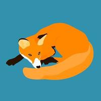 padrão abstrato de raposa dos desenhos animados. retrato de raposa simples para impressão de camiseta vetor