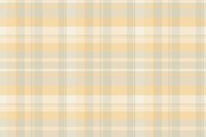 tartan padronizar fundo do desatado vetor xadrez com uma Verifica tecido textura têxtil.