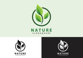 conceito de logotipo da natureza da folha vetor