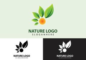 conceito de logotipo da natureza da folha vetor