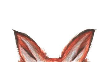 orelhas de raposa. ilustração em aquarela. cartaz para design de crianças. vetor