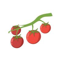 cereja tomates. vegetal ilustração para Fazenda mercado cardápio. saudável Comida Projeto. vetor