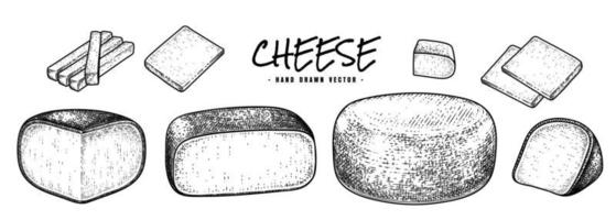 coleção de queijo desenho vetorial desenhado à mão vetor