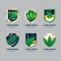 conjunto de modelos de logotipo de escudo de folha