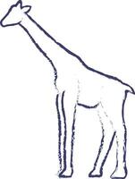 girafa mão desenhado vetor ilustração