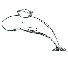 branco esperma baleia dentro uma marinheiro Panamá. criativo ilustração do uma cachalote. velho escola tatuagem esboço, surreal idéia para camiseta imprime. vetor