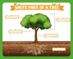 escrever partes de uma planilha de árvore para crianças vetor