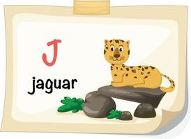 letra j do alfabeto animal para ilustração vetorial de jaguar vetor