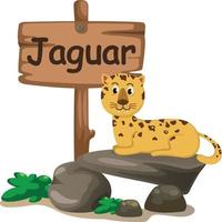 letra j do alfabeto animal para jaguar vetor