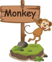 animal alfabeto letra m para macaco vetor