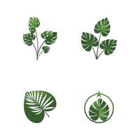 desenho de vetor de logotipo de folha monstera