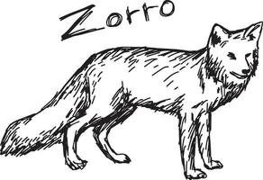 zorro em pé - desenho de ilustração vetorial desenhado à mão vetor