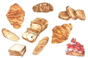 conjunto de pão em aquarela. diferentes tipos de pão. vetor
