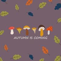 modelo de cartaz de cartão de outono com vetor de cogumelos