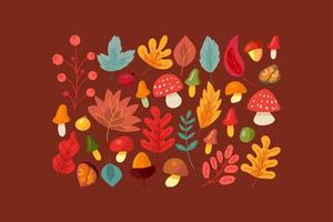 folhas de árvore de outono, cogumelo e vetor de conjunto de bagas
