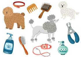 animal aliciamento salão elementos. poodle e barbearia para cães, aparador Ferramentas ou equipamento, tesoura, escovas, xampu isolado em branco fundo. asseio, higiene, animais de estimação conceito. vetor ilustração