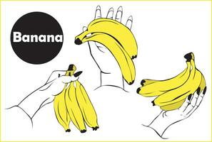 conjunto do ilustrações do fêmea mãos segurando grupo do fresco maduro amarelo bananas isolado em branco fundo. dieta, peso perda e saúde. vetor