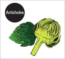 Alcachofra flor comestível broto todo e metade do broto, orgânico vegetal produtos para saudável comendo. vetor rabisco ilustração