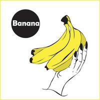 fêmea mão detém grupo do maduro amarelo bananas dentro esboço estilo. tropical nutritivo frutas. vetor