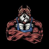 buldogue mascote logotipo com grande fisiculturista corpo vetor