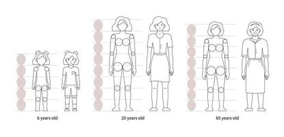 como desenhar uma mulher em anatomia de diferentes idades vetor