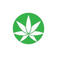 cannabis logotipo vetor e símbolo