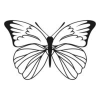 vetor borboleta Preto silhueta isolado em branco fundo. decorativo inseto ilustração