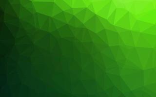 fundo abstrato do polígono do vetor verde claro.