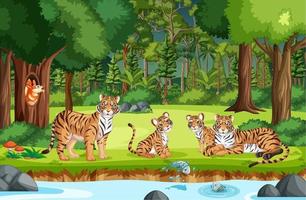 floresta ou cena de floresta tropical com a família do tigre vetor