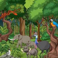 cena da floresta tropical com animais selvagens vetor